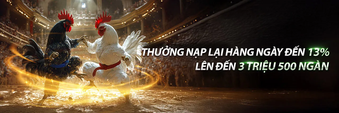 Quản lý vốn và tâm lý cá cược