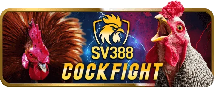 vvwin nhà cái chính sách cookie
